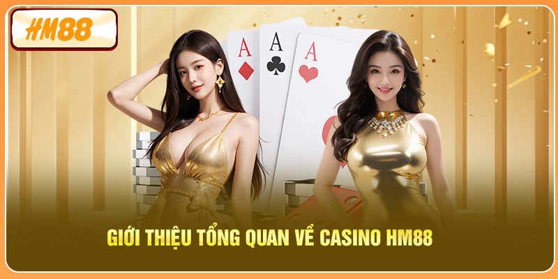 Chính Sách Bảo Mật Dữ Liệu Tại HM88 - Cam Kết An Toàn